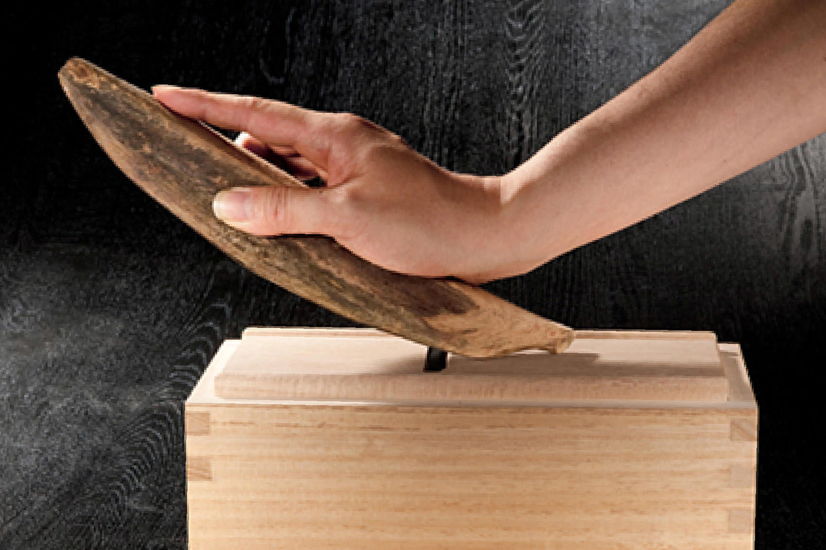 魚の発酵食品を代表する鰹節を中心に、日本と世界の伝統的な魚の発酵食品をイメージした写真